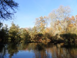 November 2025 - Wintersdorf